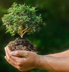 Cambio Climático