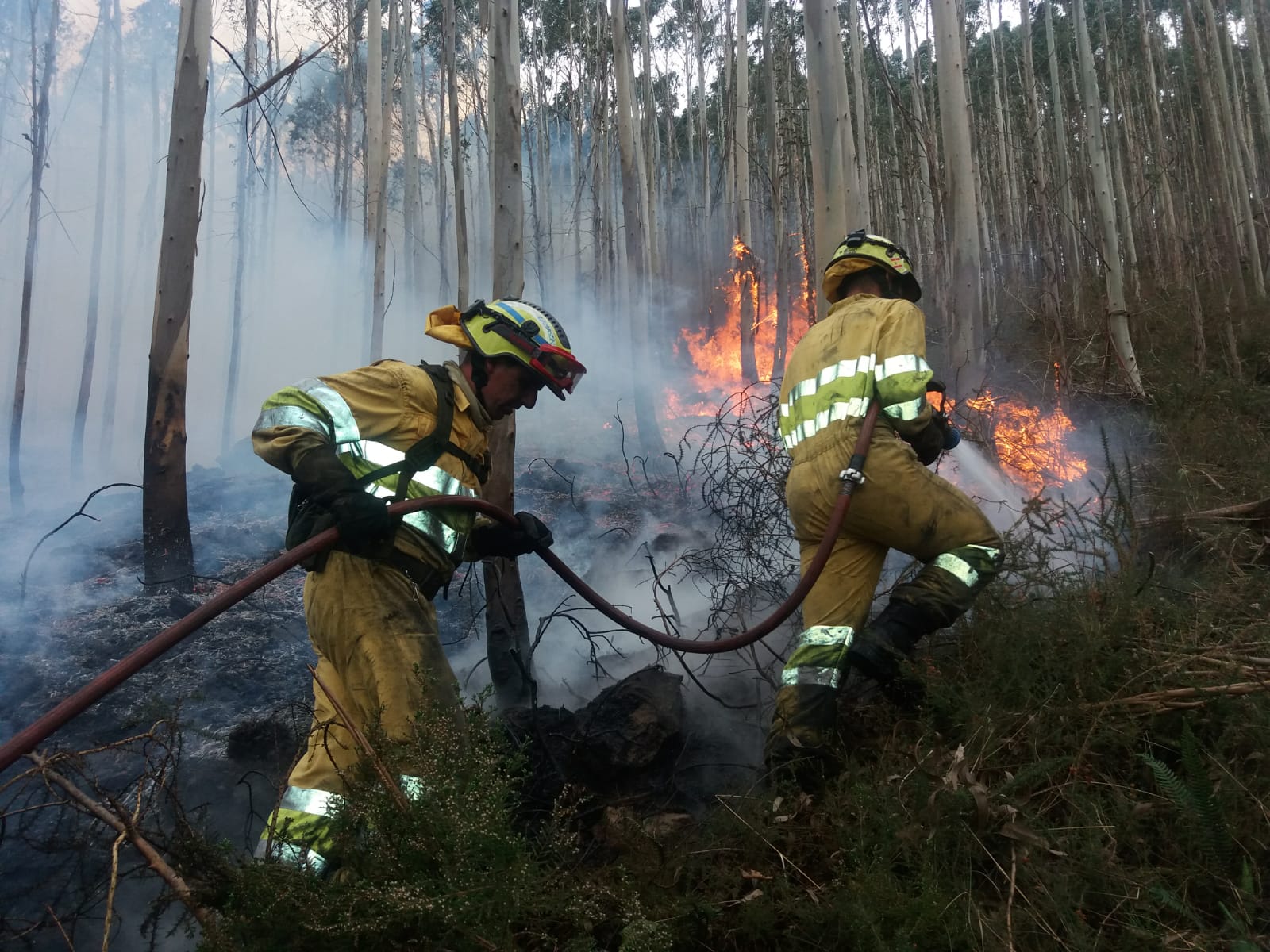 Bomberos forestales